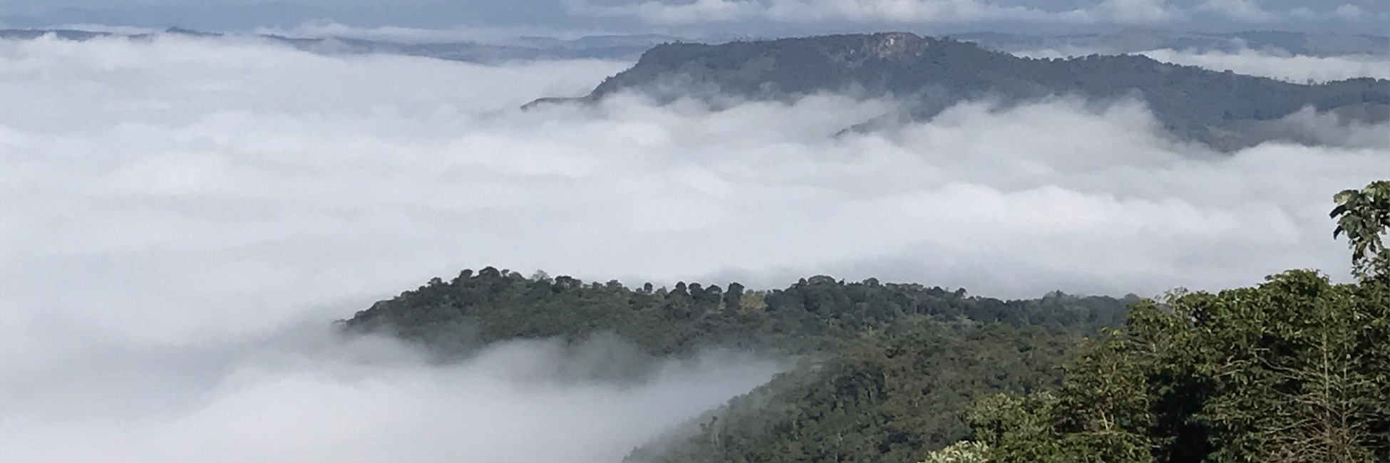 paisagem